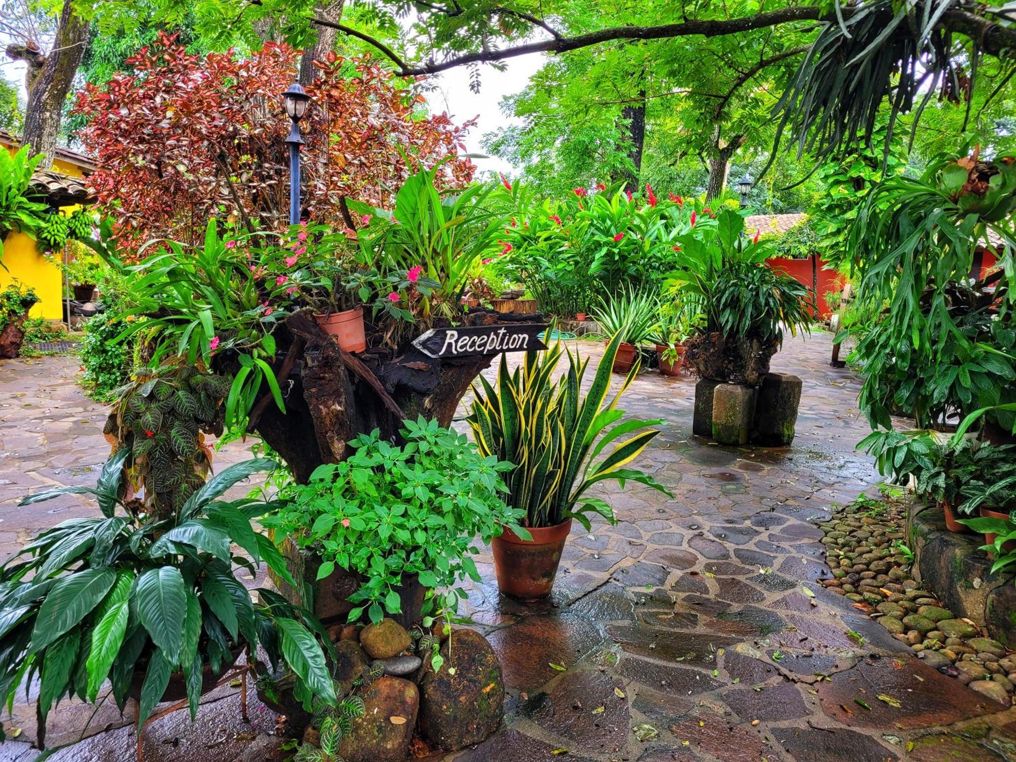 Hotel El Tejado Suchitoto Zewnętrze zdjęcie